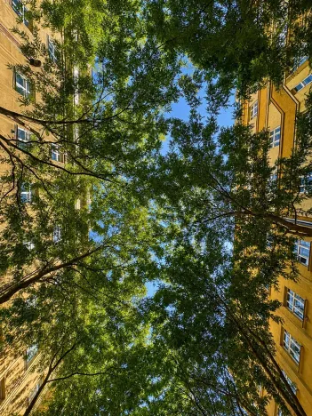 Prodej bytu 3+1, Praha - Vinohrady, Orlická, 112 m2