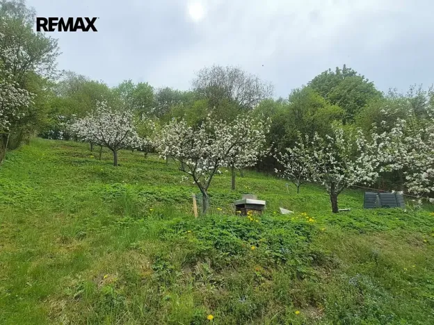 Prodej rodinného domu, Březová nad Svitavou, Zářečí, 100 m2