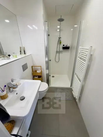 Pronájem bytu 2+kk, Praha - Vinohrady, Perucká, 35 m2