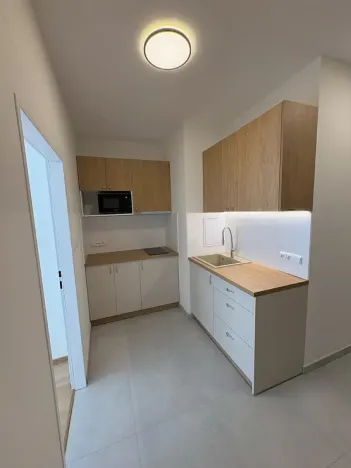 Pronájem bytu 1+kk, Praha - Vinohrady, Bruselská, 33 m2