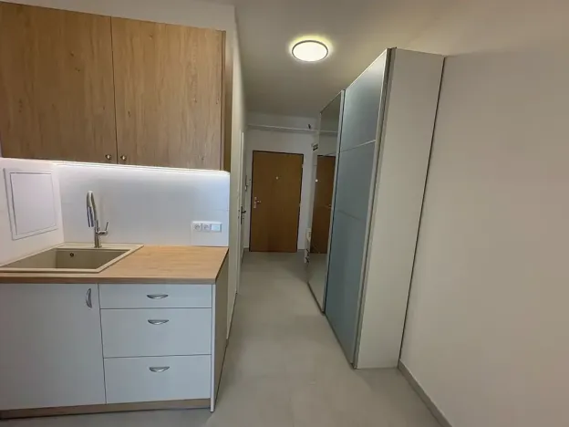 Pronájem bytu 1+kk, Praha - Vinohrady, Bruselská, 33 m2