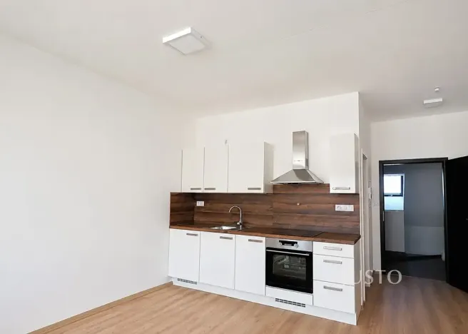 Pronájem bytu 1+kk, Písek, Žižkova třída, 30 m2