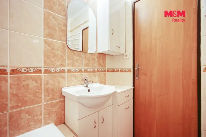 Pronájem bytu 1+1, Plasy, Potoční, 42 m2