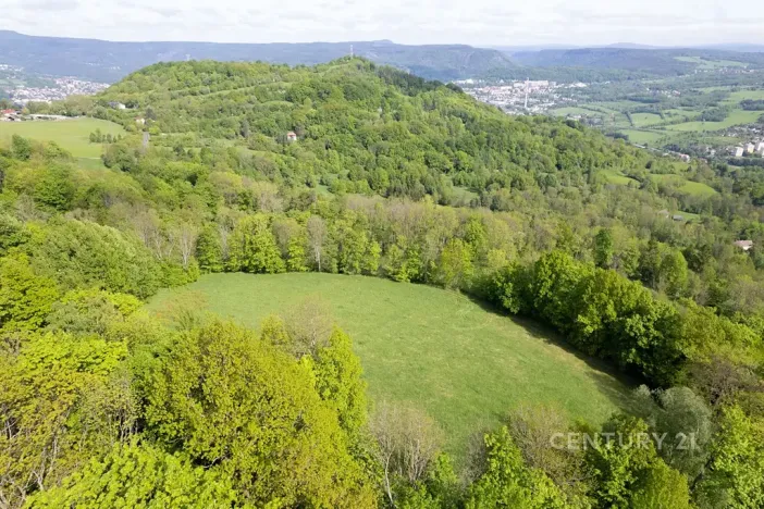 Prodej louky, Děčín, 27274 m2
