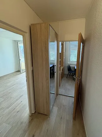Pronájem bytu 1+1, Židlochovice, sídl. Družba, 35 m2