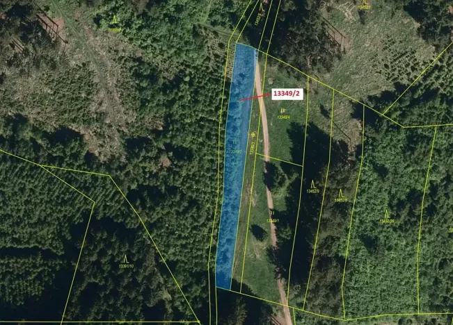 Dražba louky, Hovězí, 1344 m2