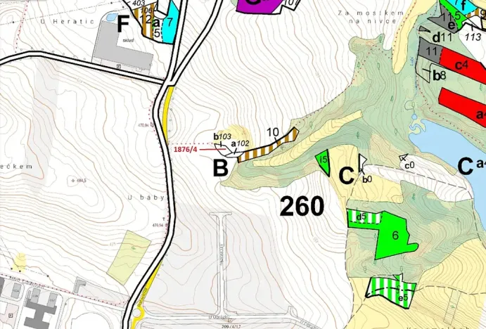 Dražba lesa, Třebíč, 601 m2