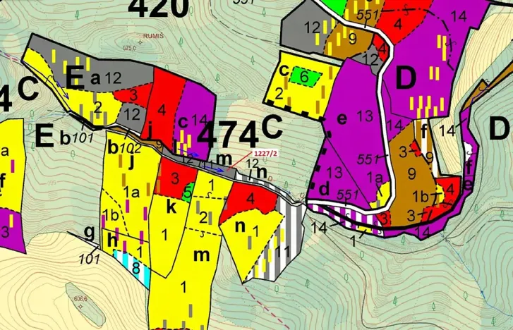 Dražba lesa, Horní Studénky, 860 m2