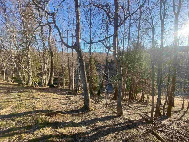 Prodej pole, Železná Ruda - Špičák, 1644 m2