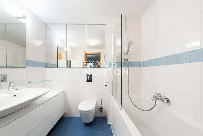 Pronájem bytu 3+kk, Praha - Vinohrady, Italská, 90 m2
