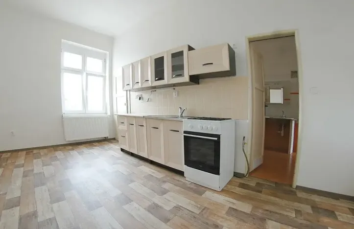 Pronájem bytu 2+1, Plzeň, Americká, 97 m2