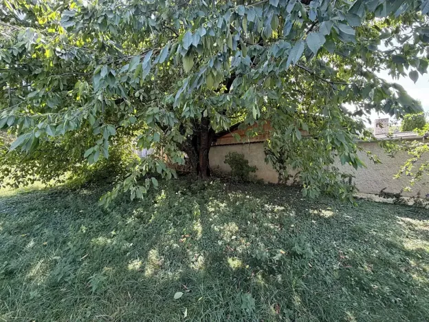 Prodej pozemku pro bydlení, Klenovice na Hané, 835 m2