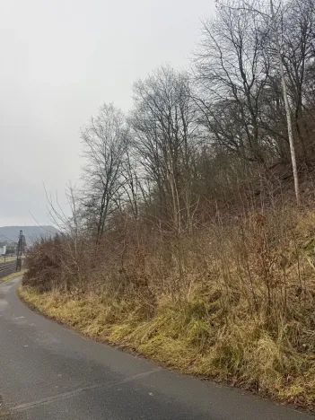 Prodej lesa, Ústí nad Labem, 36788 m2