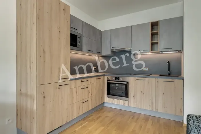 Pronájem bytu 1+kk, Praha - Karlín, Breitfeldova, 38 m2