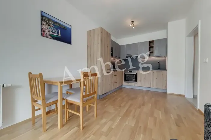 Pronájem bytu 1+kk, Praha - Karlín, Breitfeldova, 38 m2