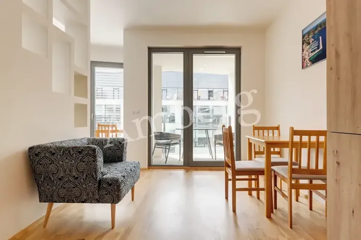Pronájem bytu 1+kk, Praha - Karlín, Breitfeldova, 38 m2