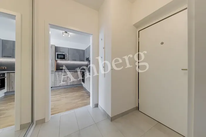 Pronájem bytu 1+kk, Praha - Karlín, Breitfeldova, 38 m2