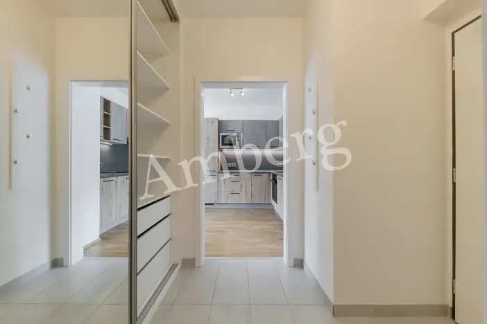 Pronájem bytu 1+kk, Praha - Karlín, Breitfeldova, 38 m2