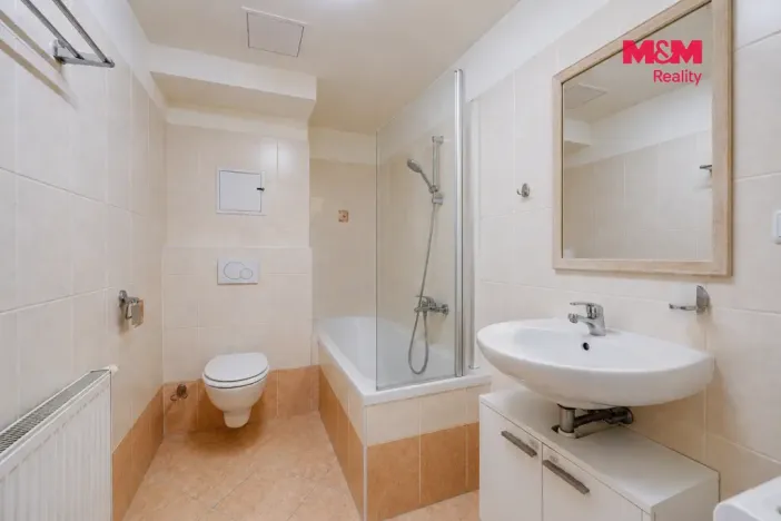 Pronájem bytu 2+kk, Plzeň - Jižní Předměstí, Karlova, 45 m2