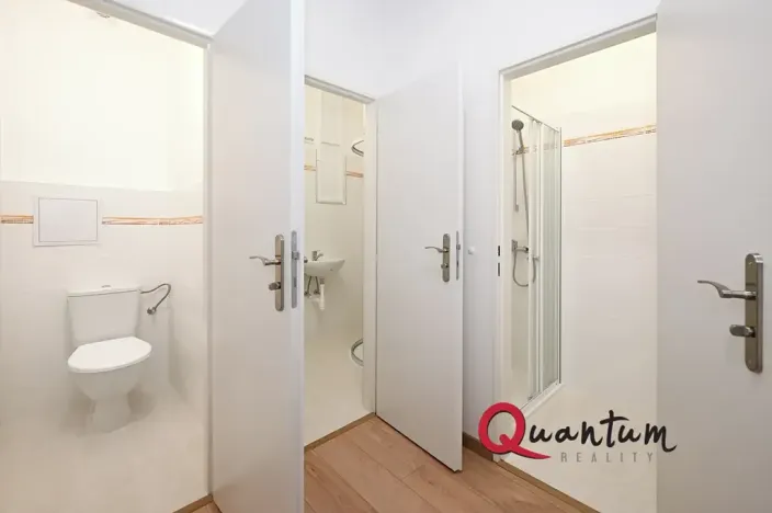 Pronájem bytu 5+kk, Praha - Vršovice, Mexická, 139 m2