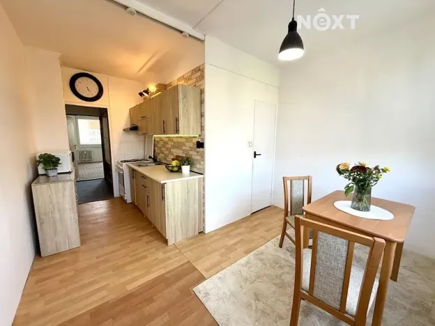 Pronájem bytu 2+1, České Budějovice, Mánesova, 61 m2
