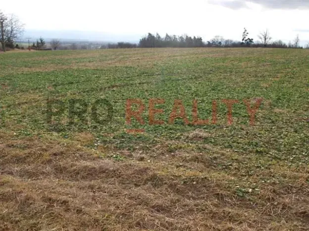 Prodej pozemku pro bydlení, Velké Albrechtice, 1041 m2