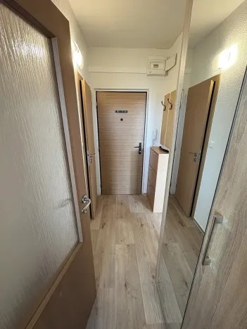 Pronájem bytu 1+1, Židlochovice, sídl. Družba, 34 m2