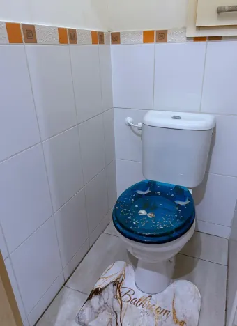 Pronájem bytu 2+1, Ostrava, Lumírova, 62 m2
