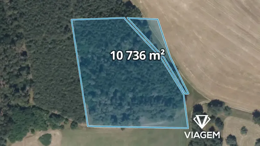 Prodej podílu lesa, Uhlířská Lhota, 2684 m2