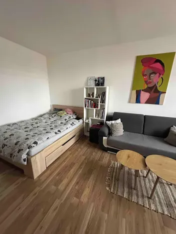 Pronájem bytu 1+1, Frýdek-Místek, Javorová, 35 m2