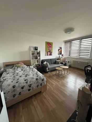 Pronájem bytu 1+1, Frýdek-Místek, Javorová, 35 m2