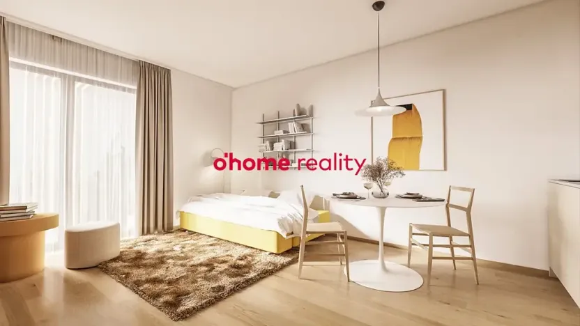 Prodej bytu 1+kk, Olomouc, Okružní, 30 m2