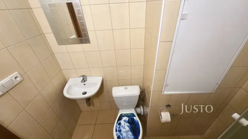 Pronájem bytu 1+1, Písek, nábřeží 1. máje, 42 m2