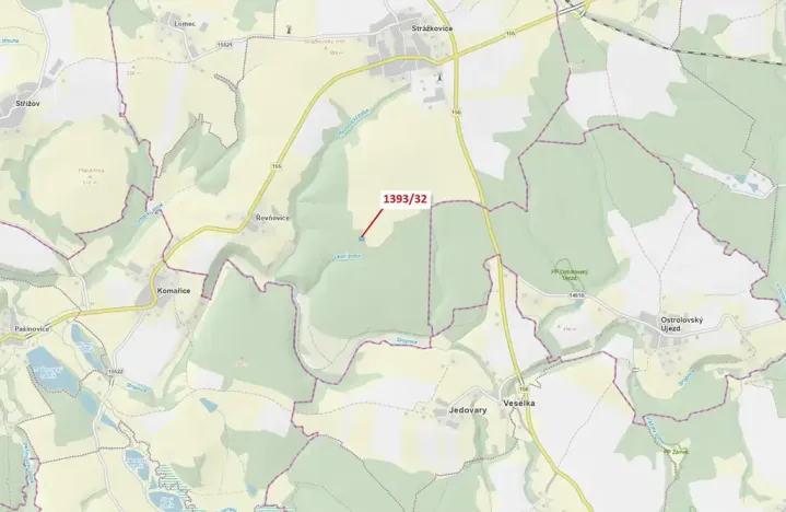 Dražba lesa, Stehlovice, 1388 m2