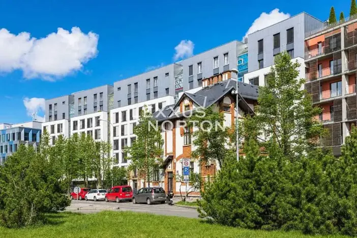 Pronájem bytu 4+kk, Praha - Holešovice, Jankovcova, 101 m2