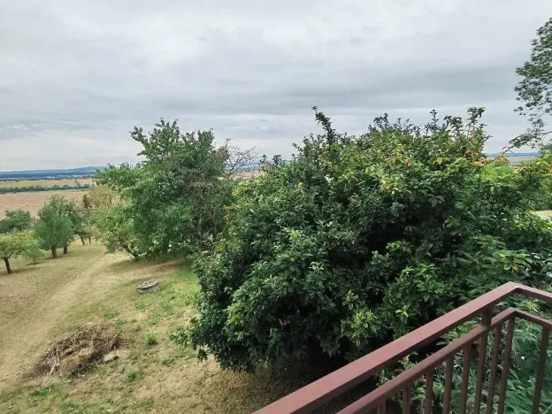 Prodej zahrady, Slatinky, 2889 m2