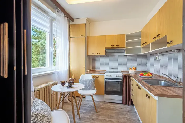 Prodej bytu 2+1, Mladá Boleslav, Na Radouči, 55 m2