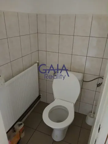 Prodej obchodního prostoru, Velim, Riegrova, 218 m2