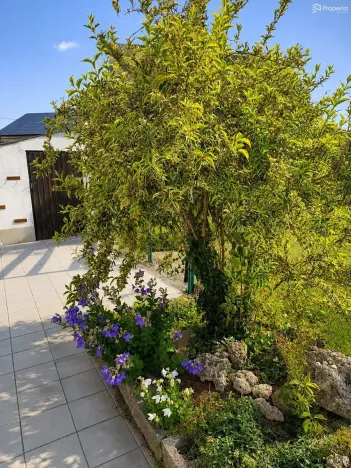 Prodej rodinného domu, Brno, Zeiberlichova, 120 m2