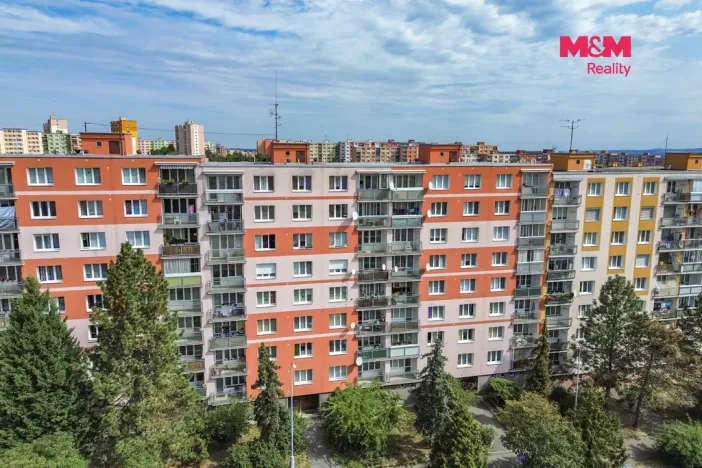 Prodej bytu 2+1, Plzeň - Severní Předměstí, Elišky Krásnohorské, 62 m2