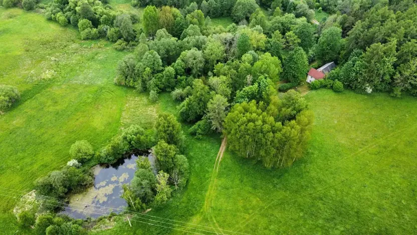 Prodej chalupy, Zdíkov, 120 m2