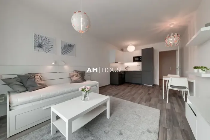 Pronájem bytu 1+kk, Praha - Karlín, Breitfeldova, 32 m2