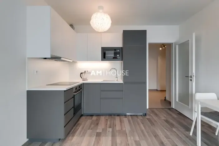 Pronájem bytu 1+kk, Praha - Karlín, Breitfeldova, 32 m2