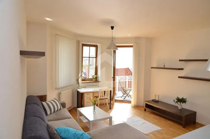 Pronájem bytu 1+kk, České Budějovice - České Budějovice 6, Jeronýmova, 38 m2