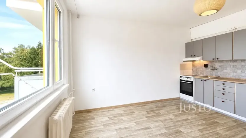 Pronájem bytu 1+kk, Písek, 17. listopadu, 19 m2