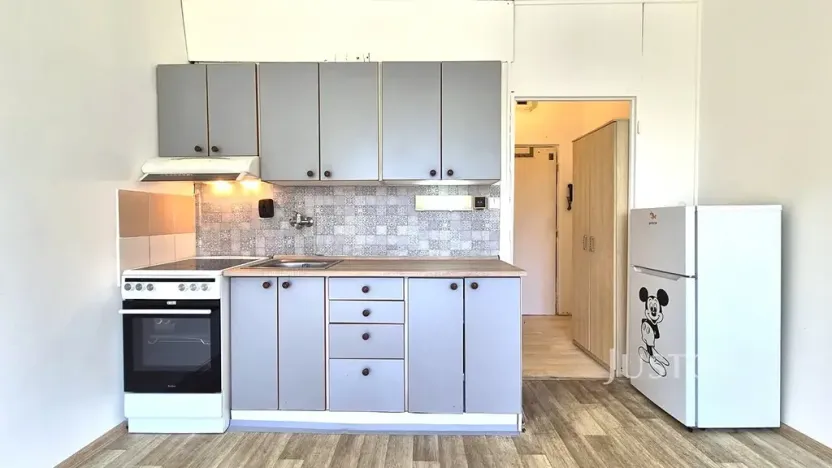 Pronájem bytu 1+kk, Písek, 17. listopadu, 19 m2