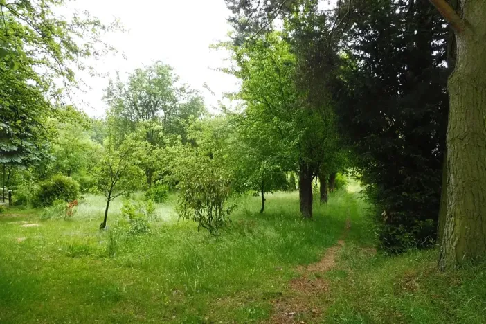 Dražba zahrady, Horní Cerekev, 365 m2
