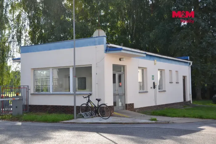 Prodej výrobních prostor, Miletín, Lhotova, 22000 m2
