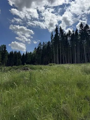 Prodej podílu lesa, Kramolín, 1401 m2