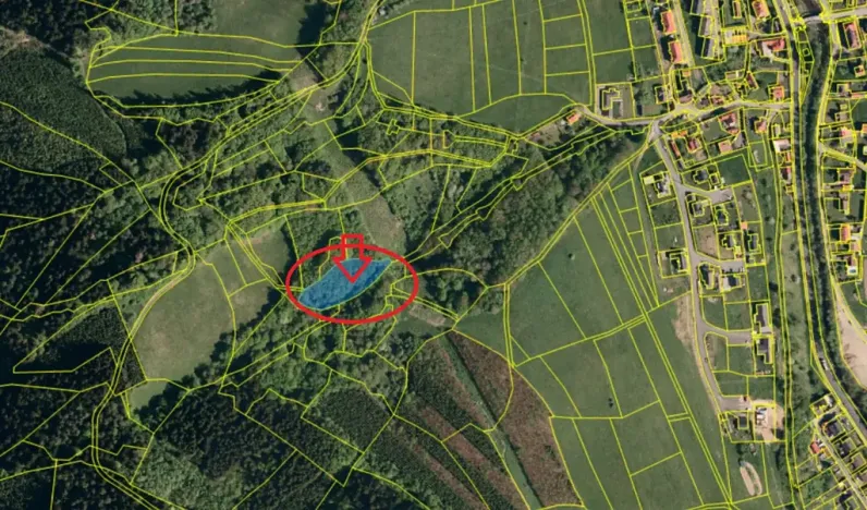Prodej lesa, Valašská Polanka, 2904 m2